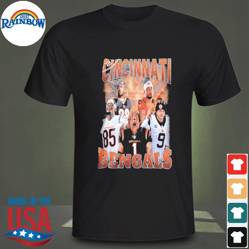 Cincinnati Bengals 2022 Divisional Round Champions Vintage T-Shirt