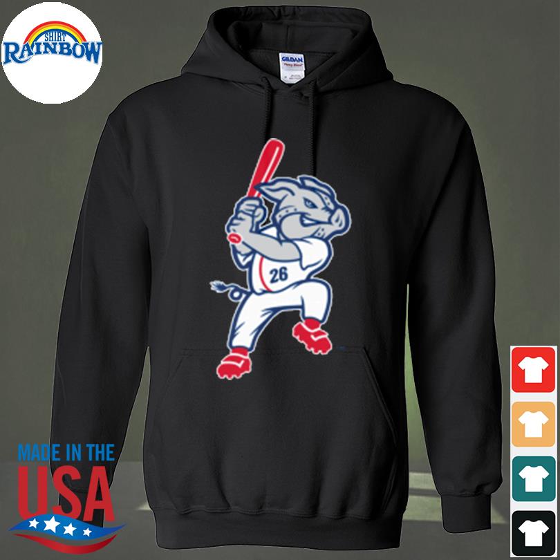 Lehigh Valley Ironpigs Baseball T-shirt,Sweater, Hoodie, And Long Sleeved,  Ladies, Tank Top