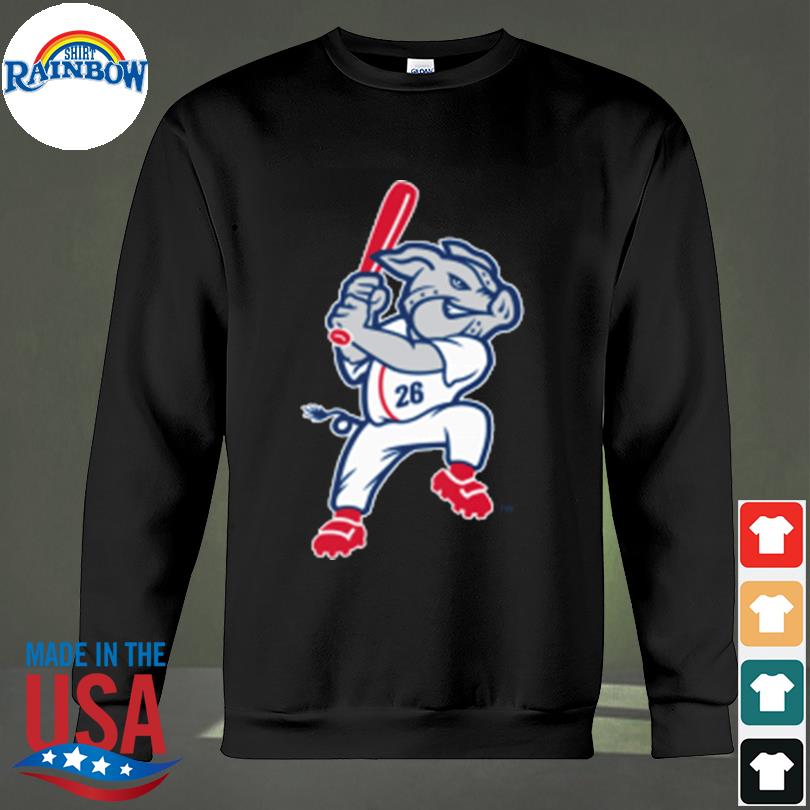 Lehigh Valley Ironpigs Baseball T-shirt,Sweater, Hoodie, And Long Sleeved,  Ladies, Tank Top