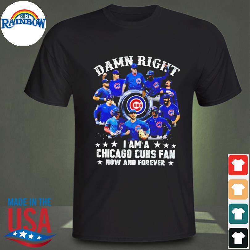 Chicago Cubs Baseball Team - 145 years 1876 2021 chicago cubs thankn you  for the memories Shirt, Hoodie, Sweatshirt - FridayStuff