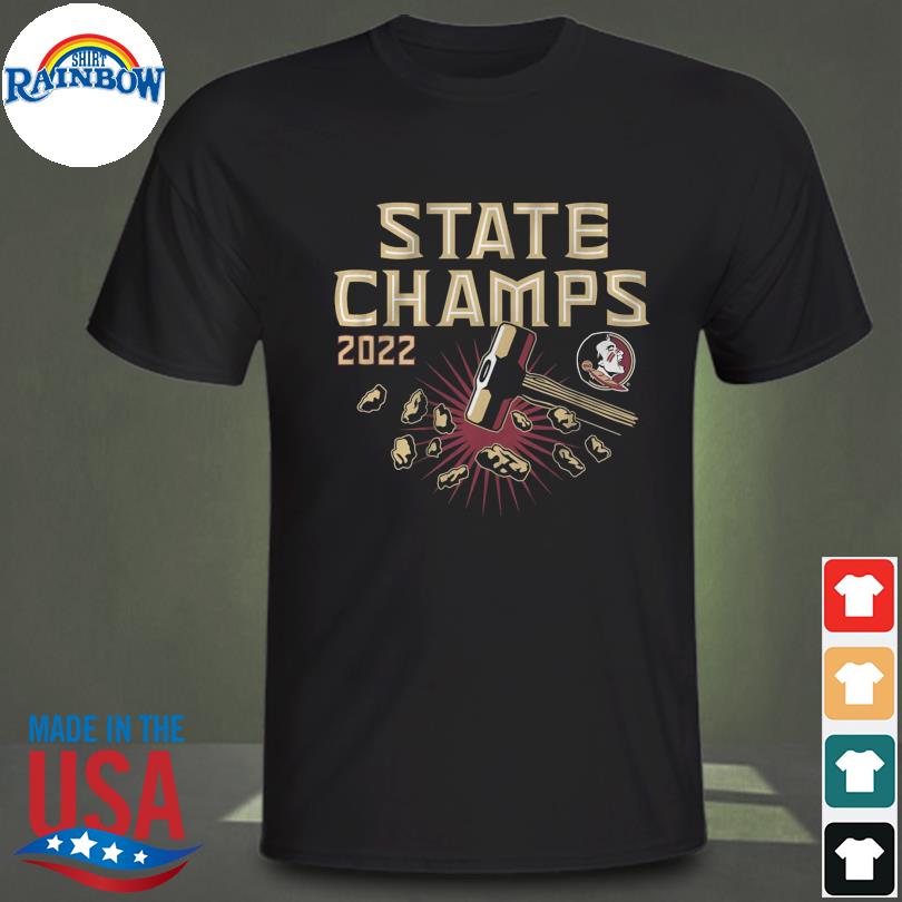 Florida state football state champs shirt