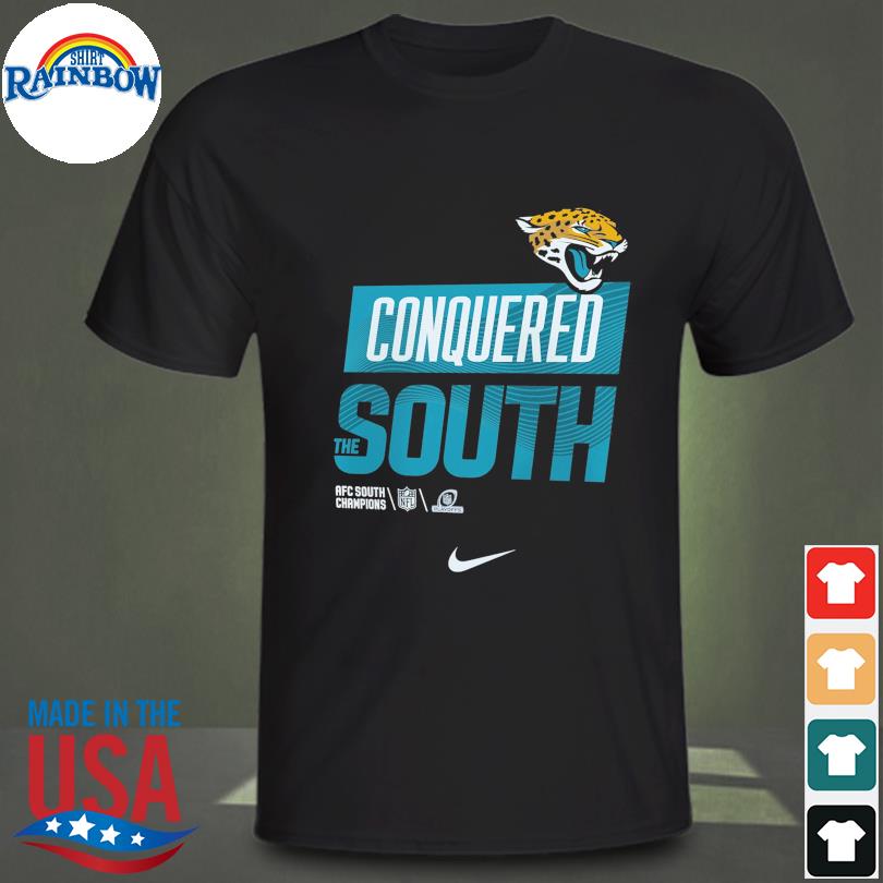 afc south division champions