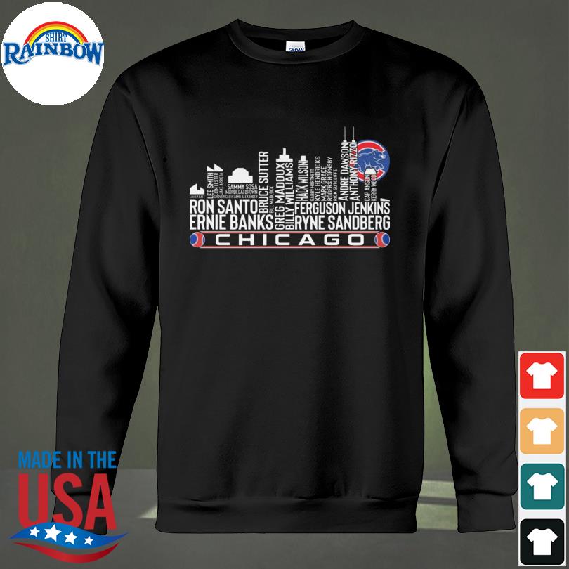 Chicago cubs city ron santo ernie banks 2023 shirt, hoodie, sweater, long  sleeve and tank top